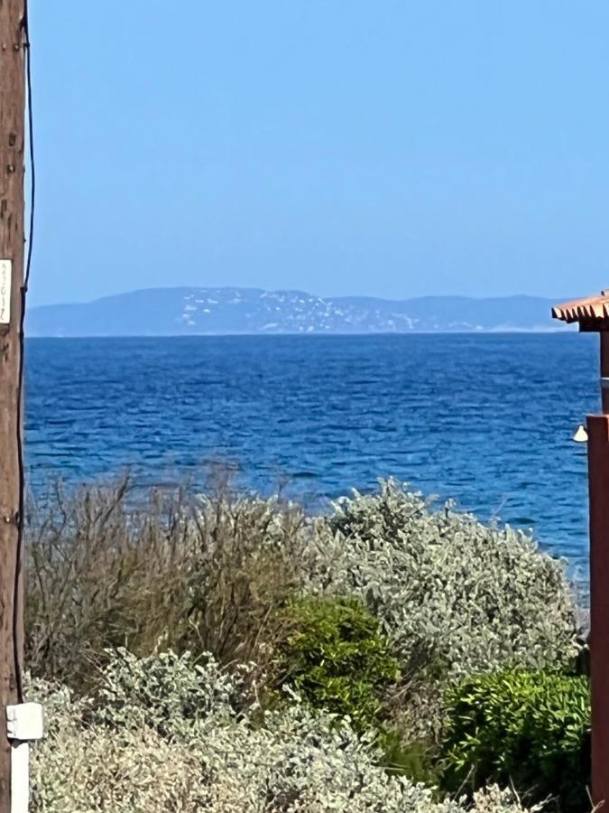 Plein Sud, Bel Appartement 20 Metres De La Plage La Capte Hyères Dış mekan fotoğraf